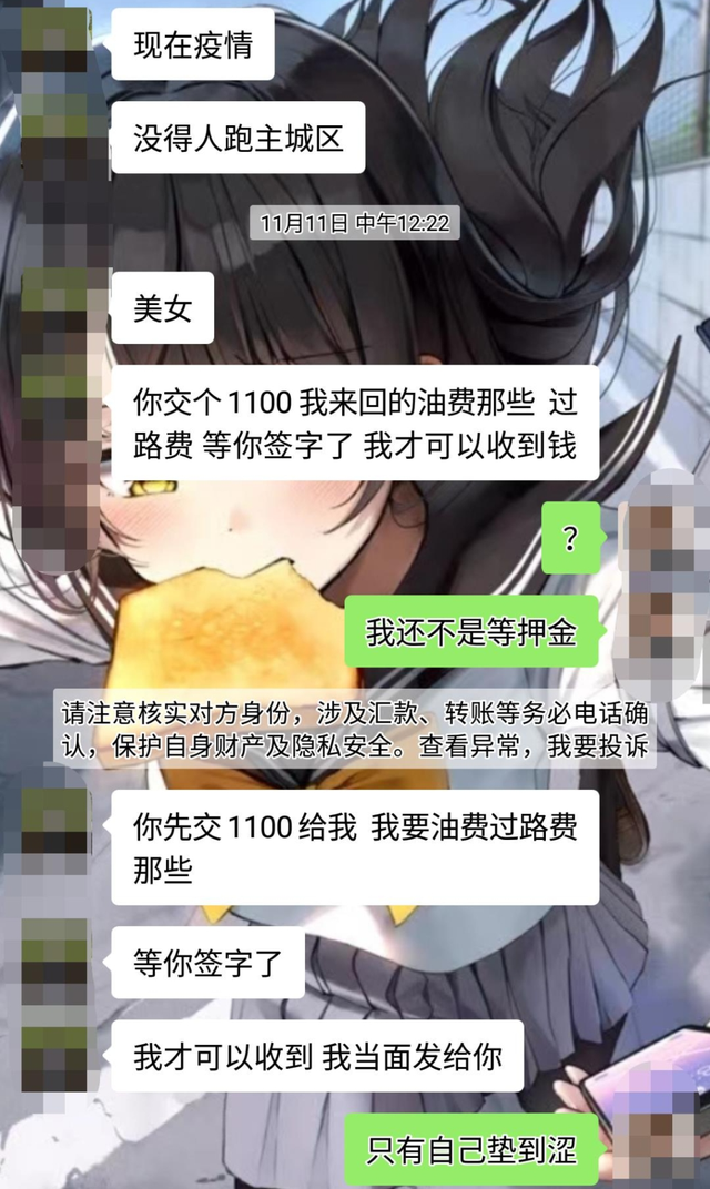 网上买猫靠谱吗(网上买猫好吗)