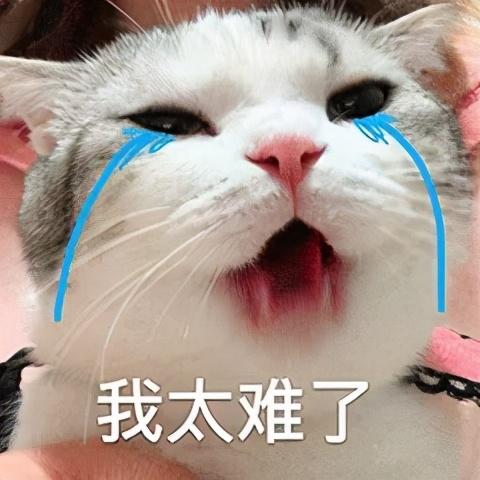 猫放屁很臭怎么回事(猫放屁特别臭)