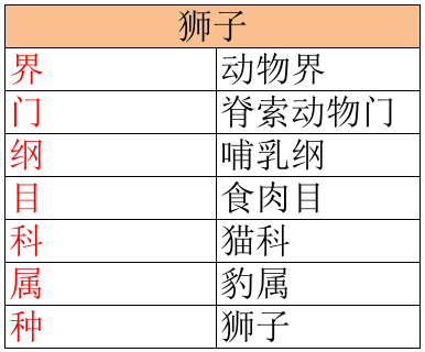 狮子是猫科还是犬科(狮子是猫科还是犬科动物)