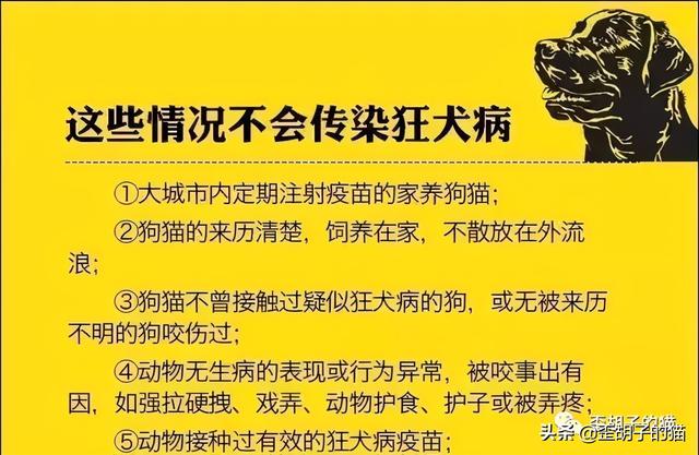 被猫抓伤得狂犬病的几率(被猫抓伤得狂犬病的几率有多大)