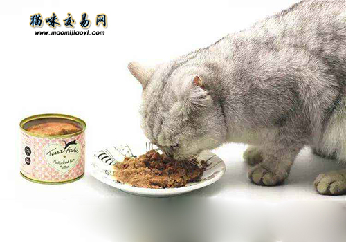 019年国庆节宠物猫行业感恩回馈活动开展！"