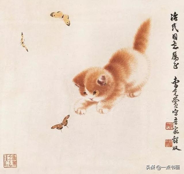 鼻支猫咪症状(鼻支猫咪症状会传染给人吗)