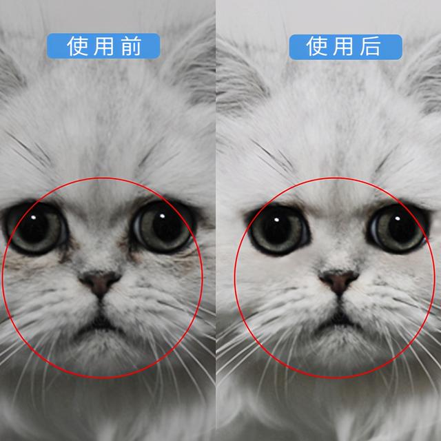 猫流泪用什么眼药水(猫流泪是什么原因造成的)