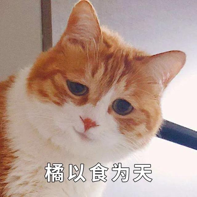 给猫咪吃鸡胸肉优缺点(给猫咪吃鸡胸肉优缺点是什么)