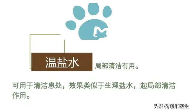 猫毛囊炎怎么治疗(猫毛囊炎怎么引起的)