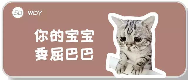 公猫尿闭(公猫尿闭症状)