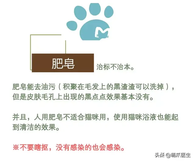 猫毛囊炎怎么治疗(猫毛囊炎怎么引起的)