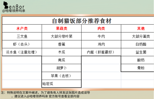 自制猫饭能代替猫粮吗(自制猫饭能代替猫粮吗百度)