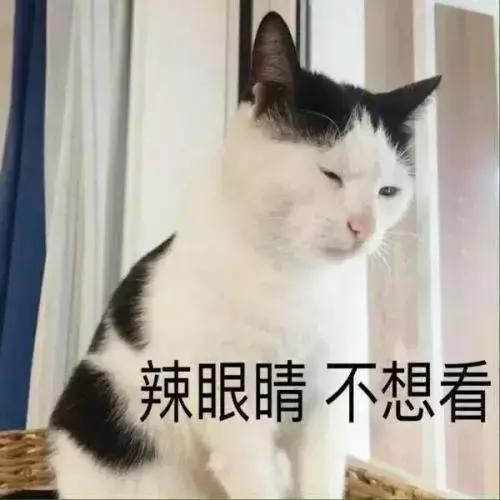 猫薄荷对猫有危害么(猫薄荷对猫是否有害处)