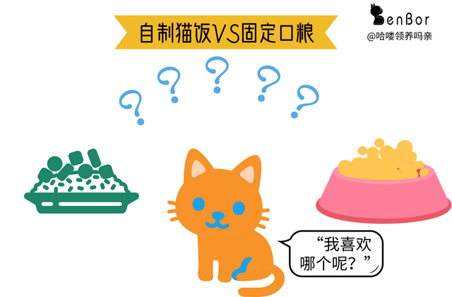 自制猫饭能代替猫粮吗(自制猫饭能代替猫粮吗百度)