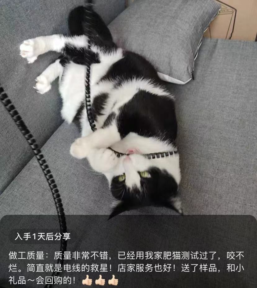 猫咪为啥喜欢咬各种数据线或者电线？(猫咪触电了该怎么办？)