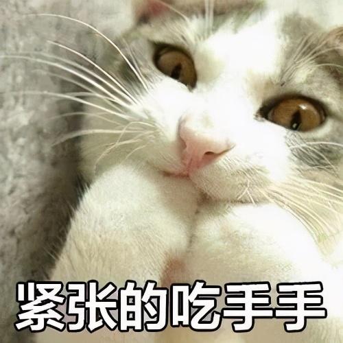 猫分娩完过两天又生了(猫分娩完过两天又生了猫仔能活吗)