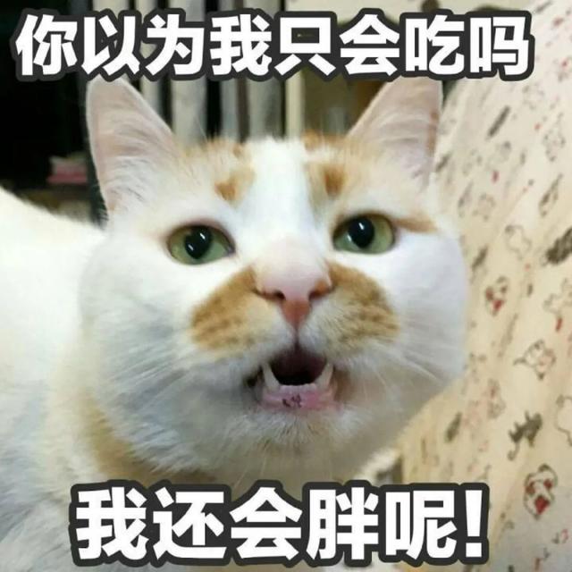 给猫咪吃鸡胸肉优缺点(给猫咪吃鸡胸肉优缺点是什么)