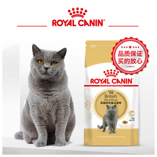 猫一闻猫粮就扒拉地板 猫的道歉方式