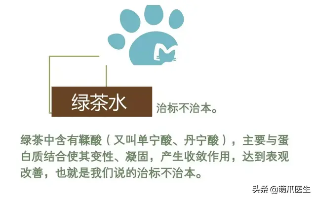 猫毛囊炎怎么治疗(猫毛囊炎怎么引起的)