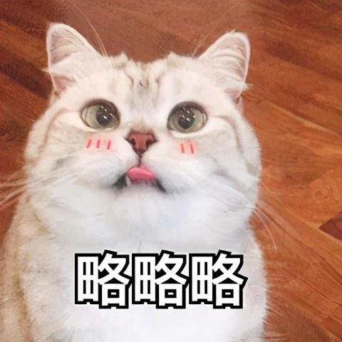 给猫咪吃鸡胸肉优缺点(给猫咪吃鸡胸肉优缺点是什么)