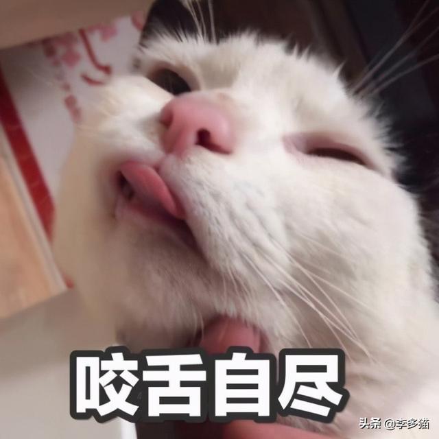 猫咪体内驱虫(猫咪体内驱虫注意事项)