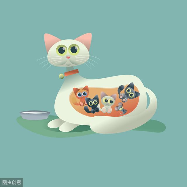 猫会自己排出死胎吗(猫流产会自己排出死胎)