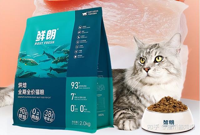 豆柴猫粮怎么样(豆柴猫粮属于什么档次的)