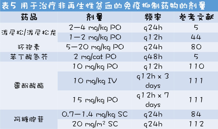 猫咪非再生性贫血的诊断和治疗建议