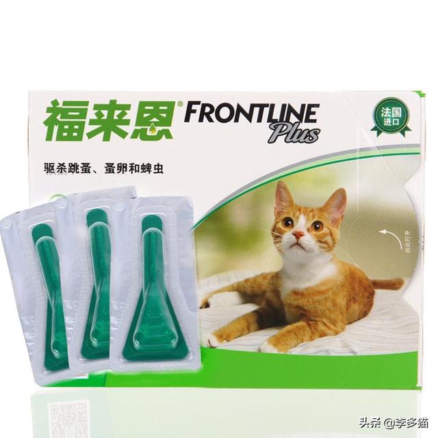 猫咪体内驱虫(猫咪体内驱虫注意事项)