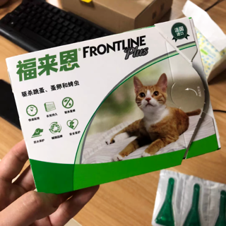 猫驱虫指南来喽！新手如何正确地给猫驱虫？