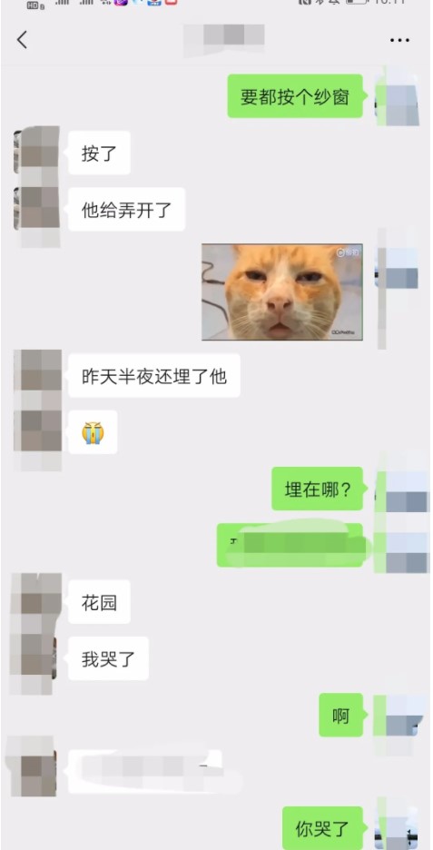 猫从高楼掉下去会死吗 猫从高处坠落会死吗