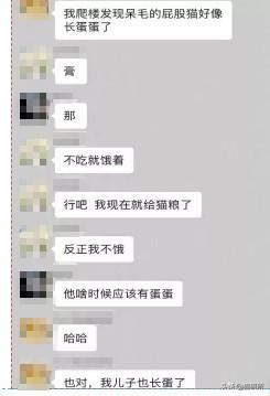 猫弓形虫吃什么驱虫药(猫弓形虫如何传染给人)