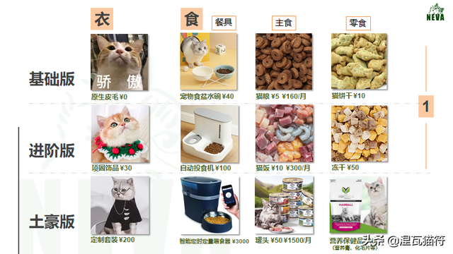 养一只猫一个月最少花多少钱(养一只猫一月要花多少钱)