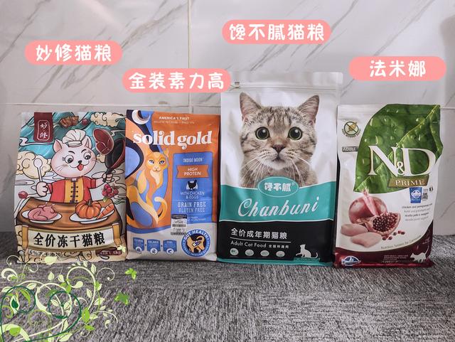 蓝猫性格温顺吗(蓝猫性格怎么样)