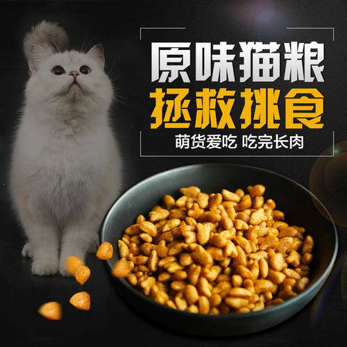 美短成年猫一天吃多少猫粮 八个月的美短一天吃多少