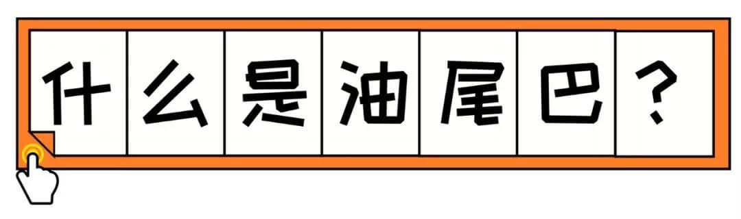 夏天到了!“油尾巴”也开始出来害猫了