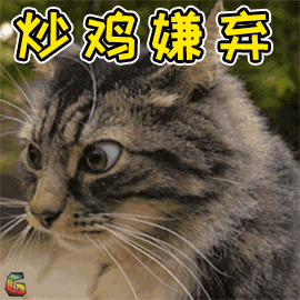 手套色布偶猫是不是串(为什么叫手套色布偶猫)