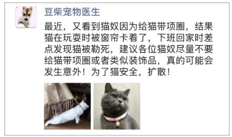 不要给猫戴项圈，它可能会杀死猫！